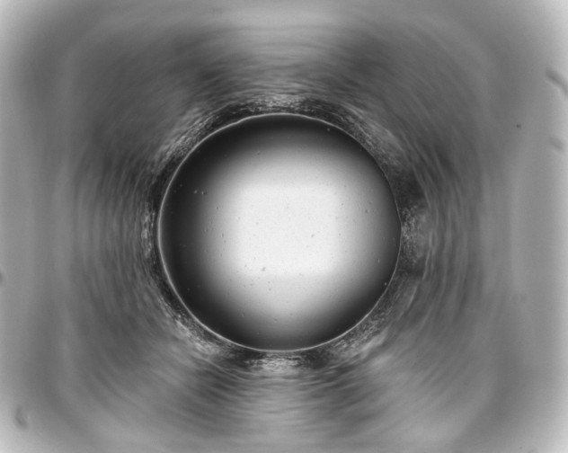 X0000097290462200802221316