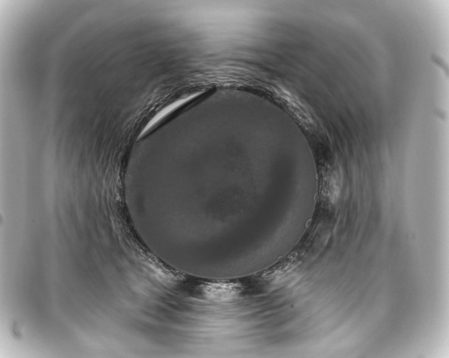X0000097290465200802221316