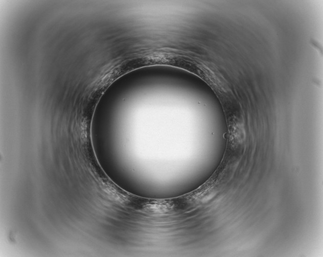 X0000097290466200802221316