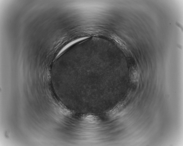X0000097290467200802221316