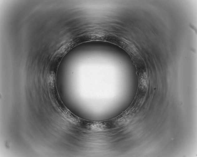 X0000097290468200802221316