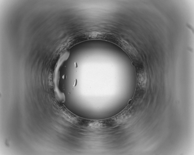 X0000097290470200802221316