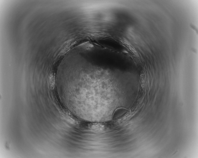 X0000097290471200802221316