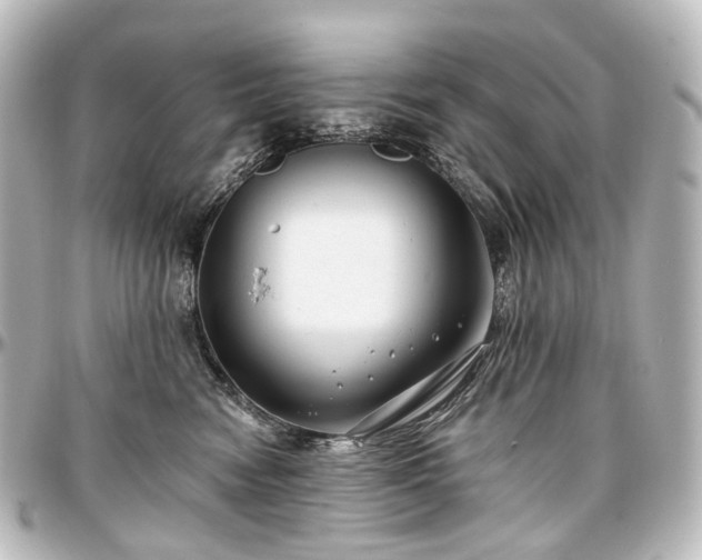 X0000097290474200802221316