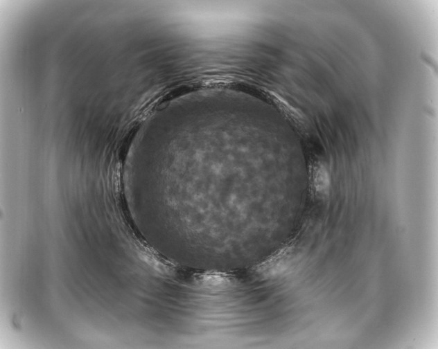 X0000097290475200802221316