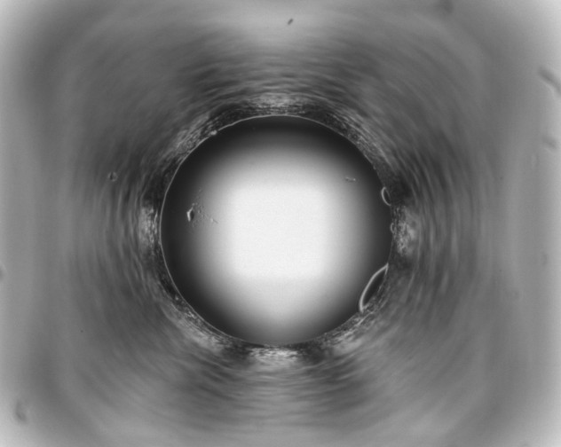 X0000097290476200802221316