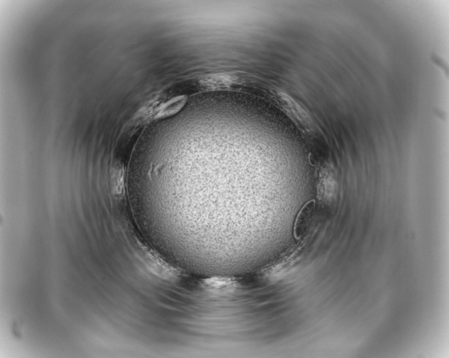 X0000097290477200802221316