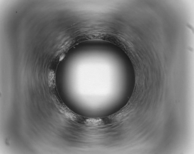 X0000097290480200802221316