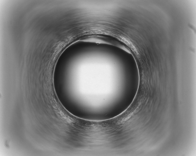 X0000097290481200802221315