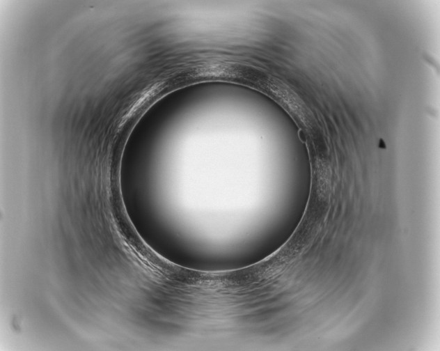 X0000097290482200802221315