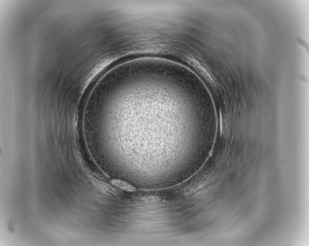X0000097290483200802221315