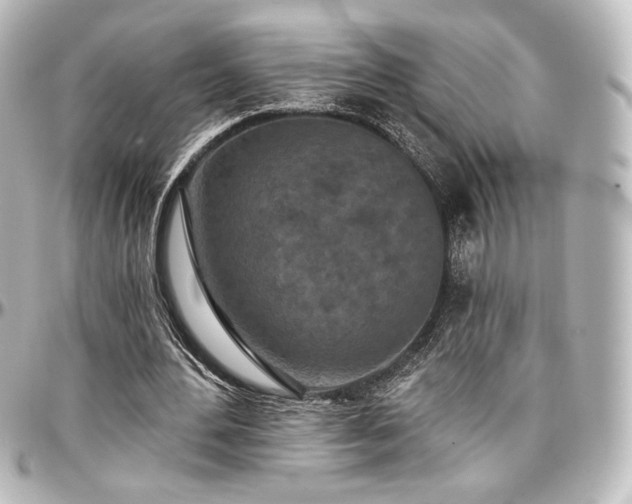 X0000097290484200802221315