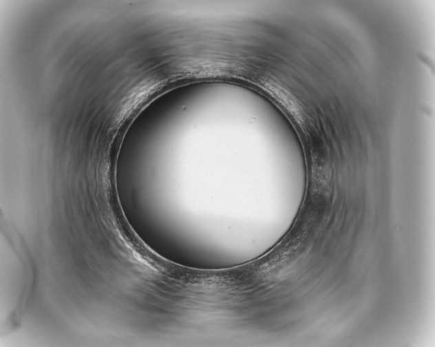 X0000097290485200802221315
