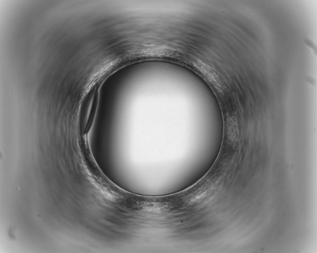 X0000097290486200802221315