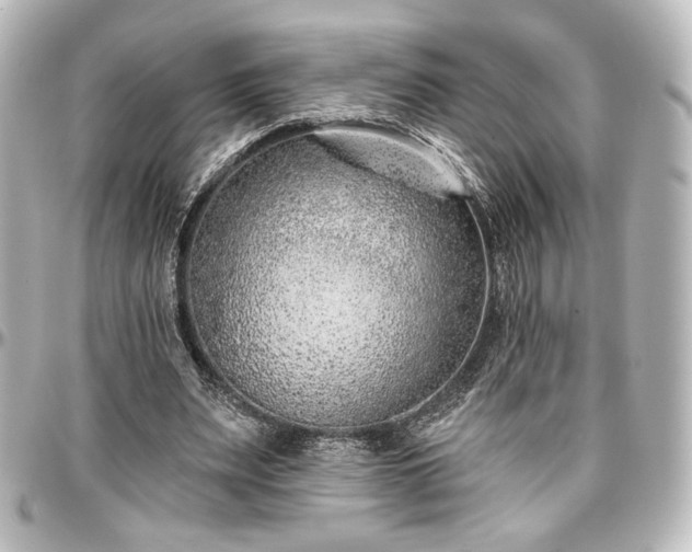 X0000097290487200802221315