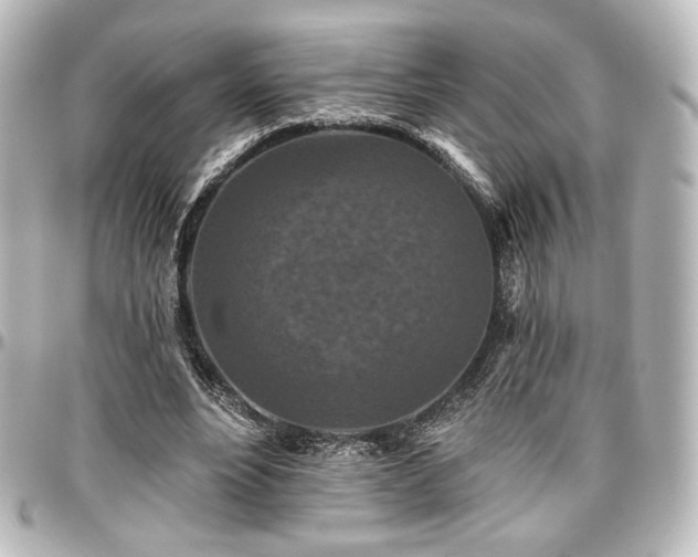 X0000097290488200802221315