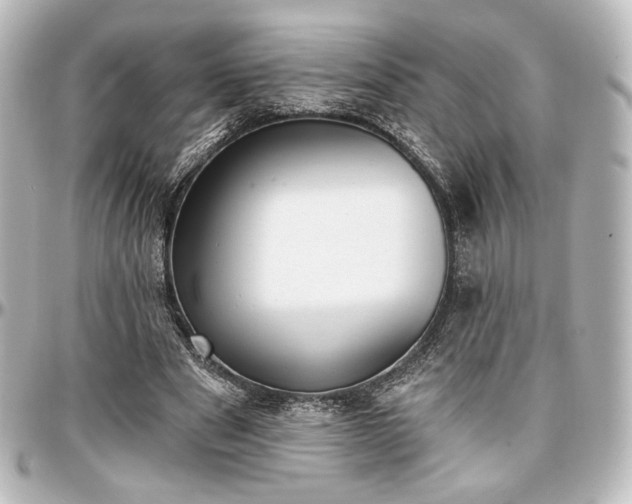 X0000097290489200802221315