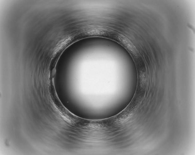 X0000097290490200802221315