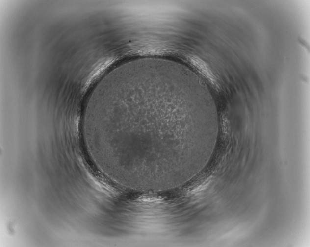 X0000097290491200802221315
