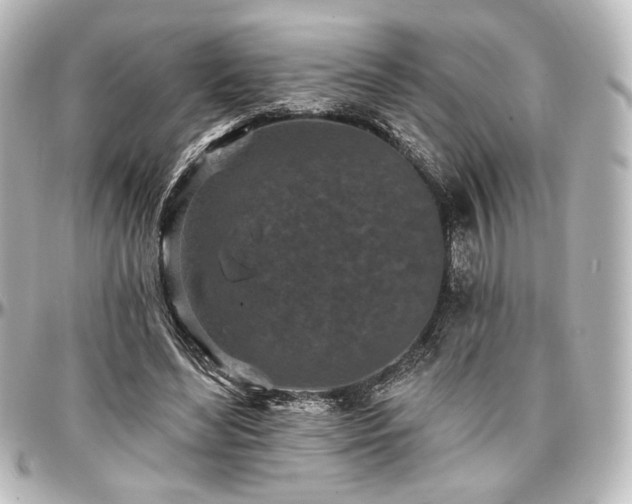 X0000097290492200802221315