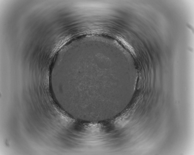 X0000097290493200802221315