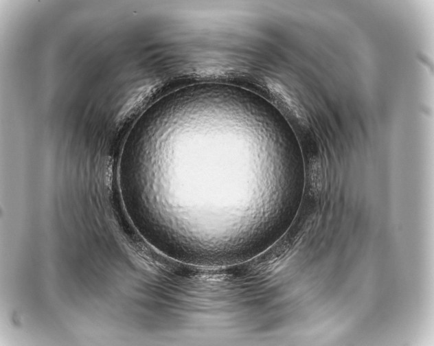 X0000097290495200802221315