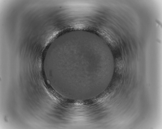 X0000097290496200802221315