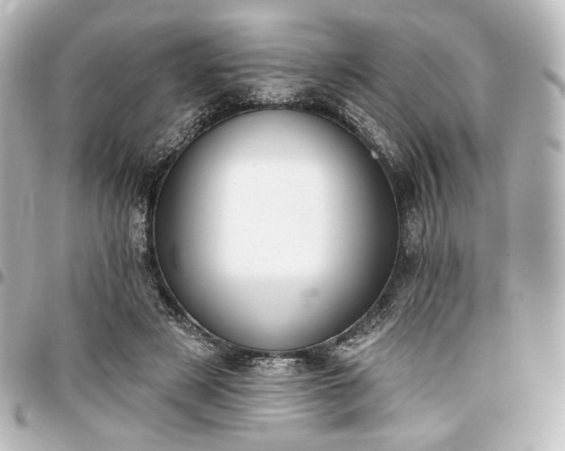 X0000097290497200802221315