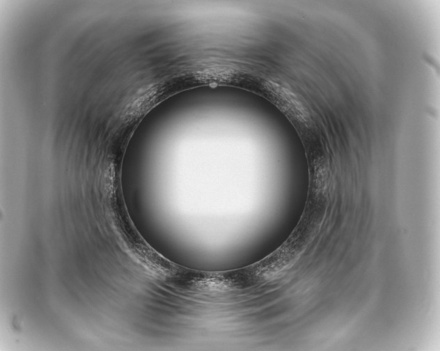 X0000097290498200802221315