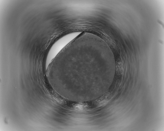 X0000097290504200802221315