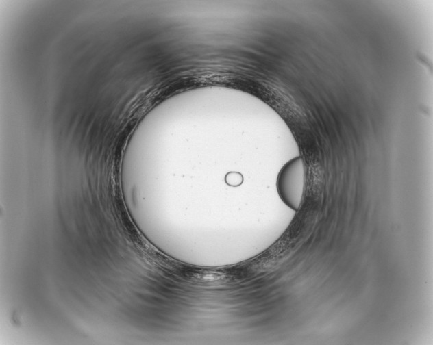 X0000097290506200802221315