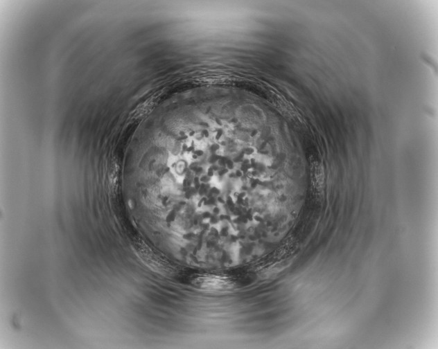 X0000097290507200802221315