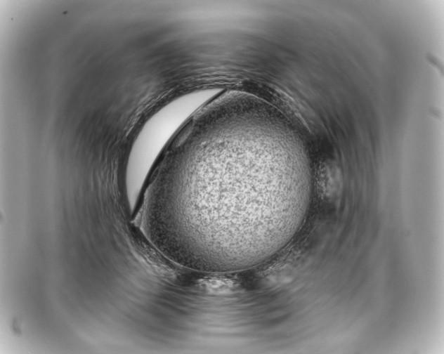 X0000097290512200802221315