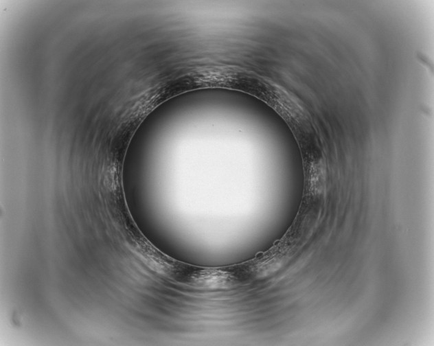X0000097290514200802221315