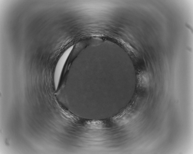 X0000097290517200802221315