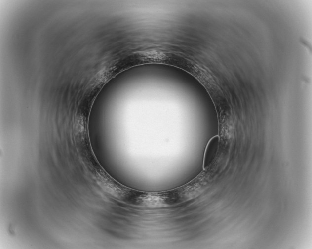 X0000097290518200802221315