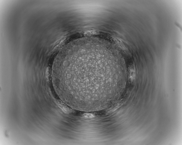X0000097290519200802221315