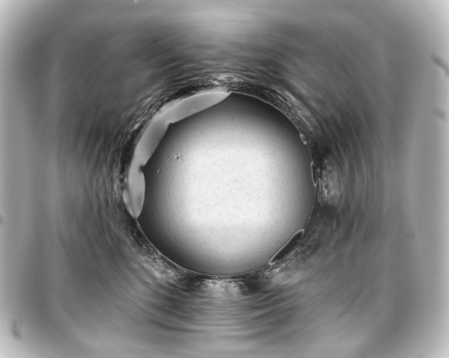 X0000097290520200802221315