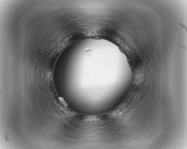 X0000097290521200802221315