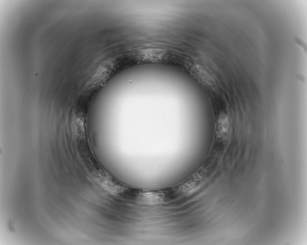 X0000097290522200802221315