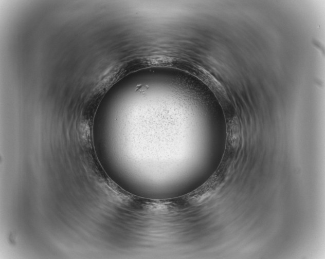 X0000097290523200802221315