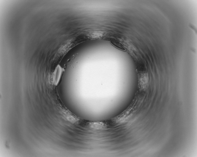 X0000097290525200802221315