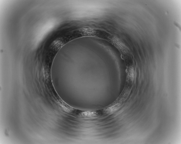 X0000097290526200802221315