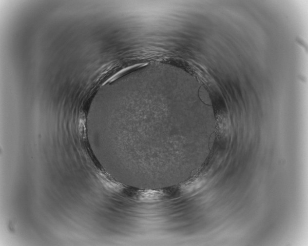 X0000097290527200802221315