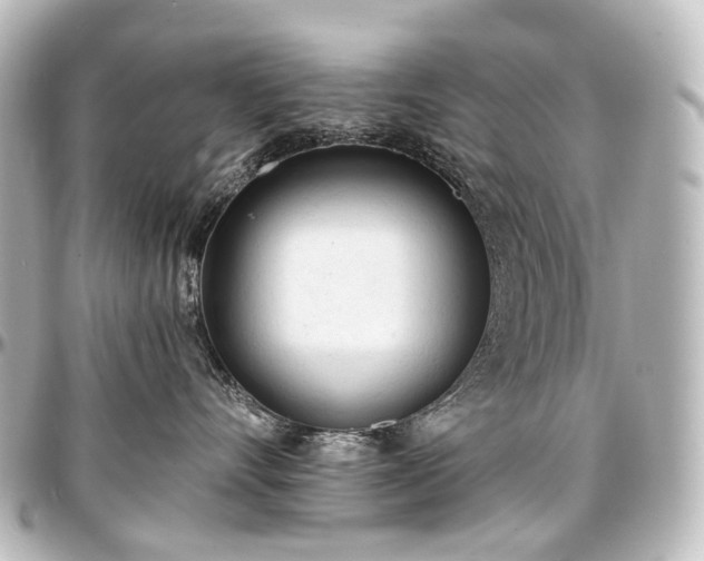 X0000097290528200802221315