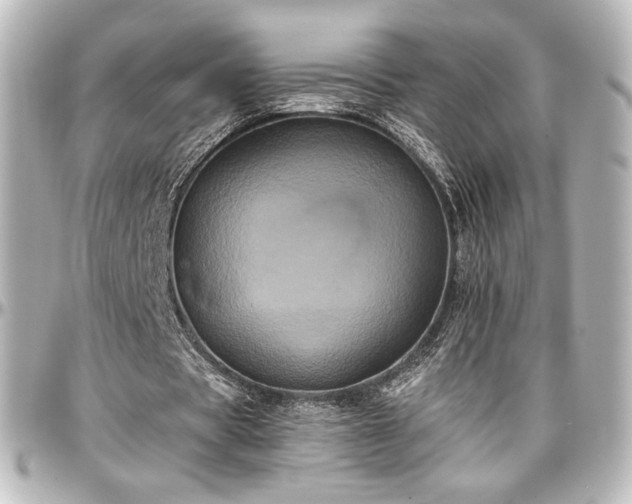 X0000097290529200802221314