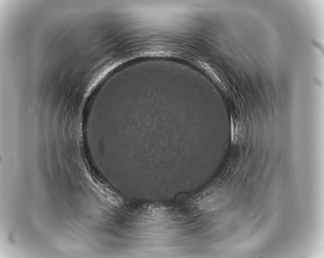 X0000097290531200802221314