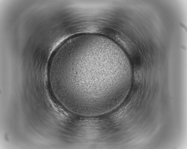X0000097290532200802221314