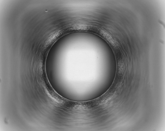 X0000097290538200802221314