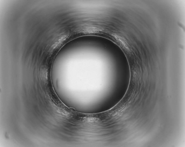 X0000097290539200802221314